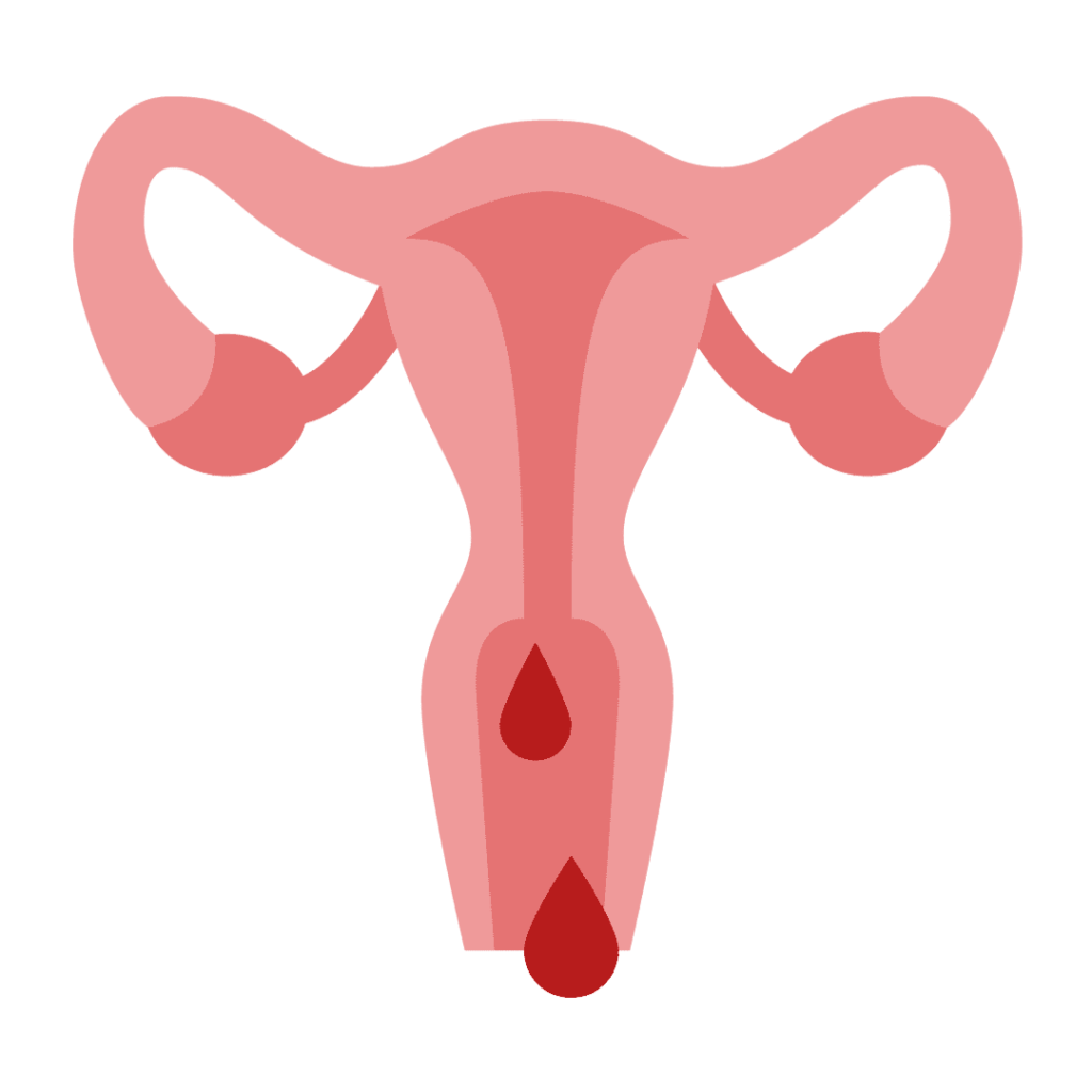 hayd vulva 1
