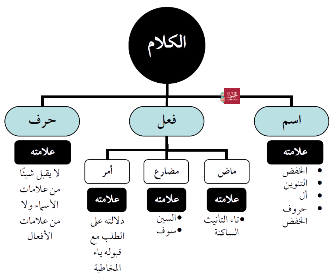 Schema Ajurrumiyyah